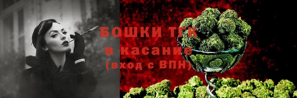 тгк Вязьма