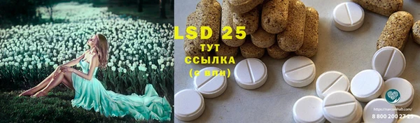 тгк Вязьма